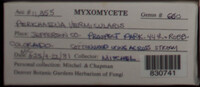 Image Associated With the Occurence